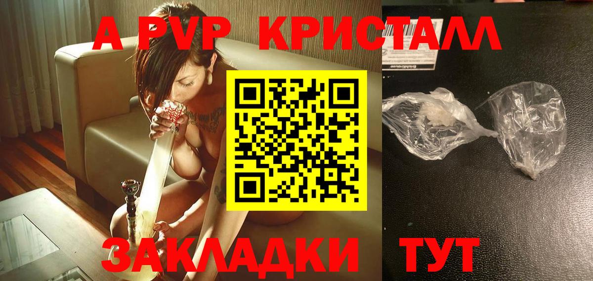 APVP СК КРИС  Вход с VPN  A PVP СК КРИС  Урус-Мартан  Alfa_PVP СК 