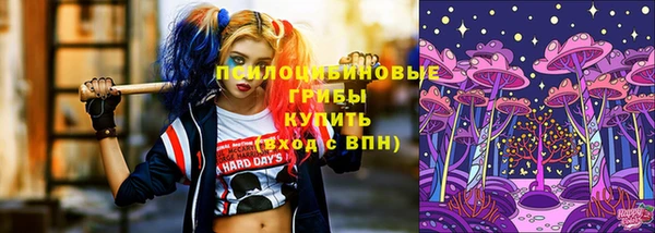 прущая мука Абаза