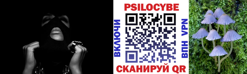 Галлюциногенные грибы MAGIC MUSHROOMS сайты даркнета наркотические препараты Урус-Мартан