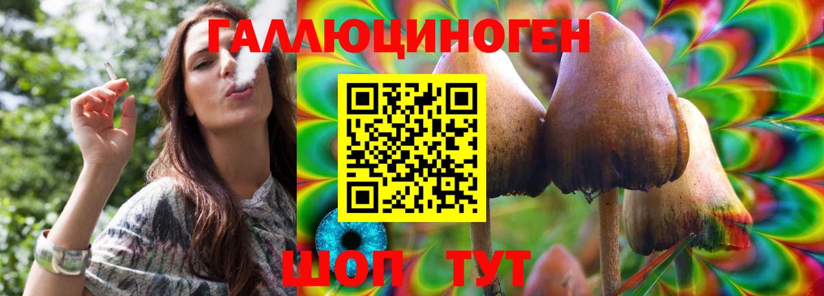 Урус-Мартан  Псилоцибиновые грибы мухоморы  Вход с VPN 